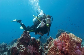 cartagena-diving